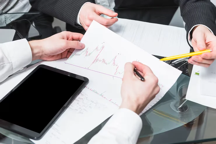 Investor Due Diligence and Risk Assessment